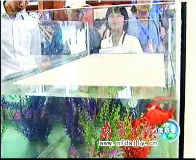 蒙娜麗莎陶瓷板亮相輝煌60年成就展(組圖)