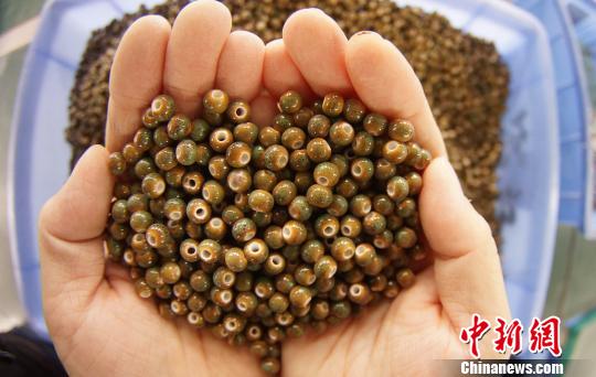 燒制出爐的瓷珠,硬度比傳統(tǒng)陶瓷高20%,耐磨抗摔,變形率極小!⊥蹶魂(yáng) 攝